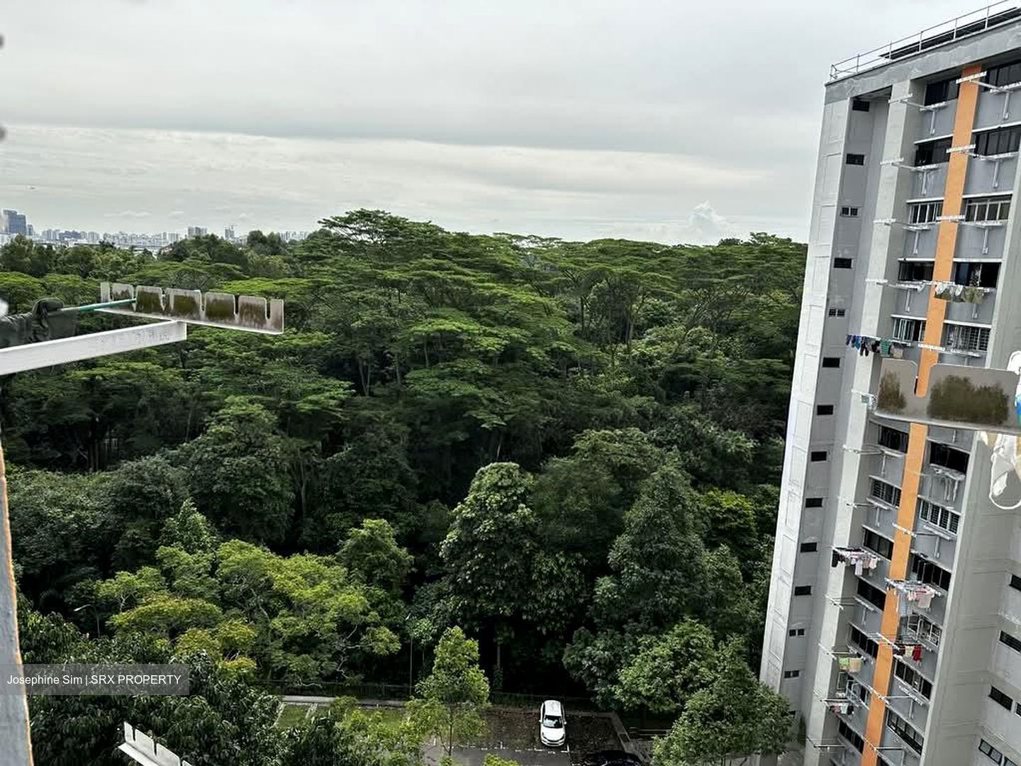 Blk 117 Sunset Way Residence (Clementi), HDB 4 Rooms #561535841